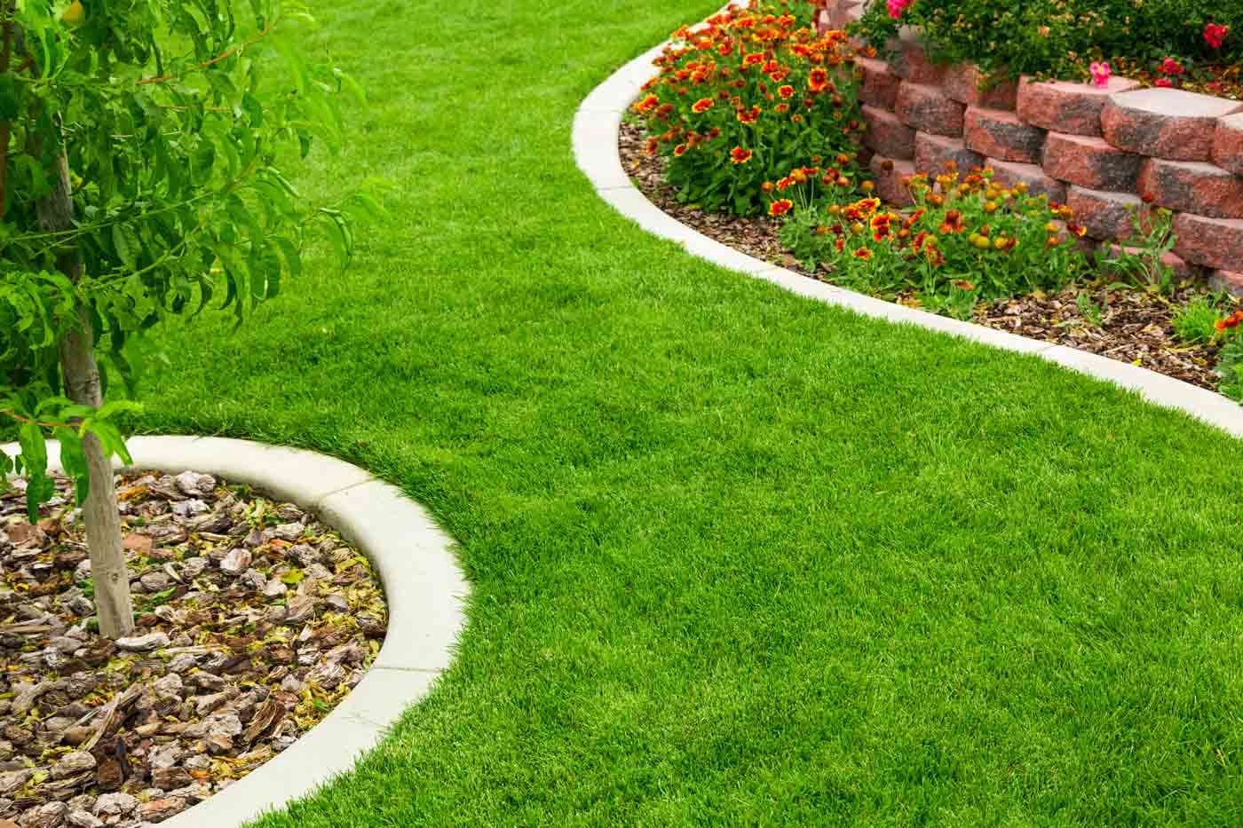 Artificial Grass Edging in North Richland Hills, TX